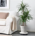 (Suomi) IKEA KALASA suojaruukku 32cm - Pilt 2