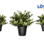 (Suomi) KEA FEJKA Oregano | Tekokasvi 9 cm Mustassa Ruukussa | 6 kpl Setti