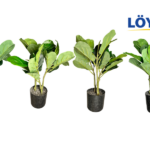 (Suomi) Lyyraviikunasetti Mustassa Ruukussa 46 cm | 4 Kpl Tekokasveja Sisustukseen