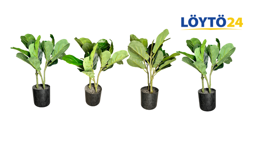 lyyraviikuna-setti-ficus-lyrata-tekokasvi (Suomi) Lyyraviikunasetti Mustassa Ruukussa 46 cm | 4 Kpl Tekokasveja Sisustukseen - Image 1